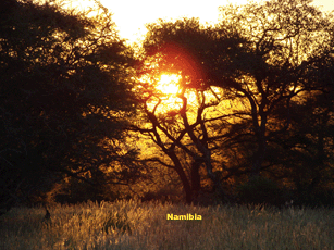 Namibia_Bilder